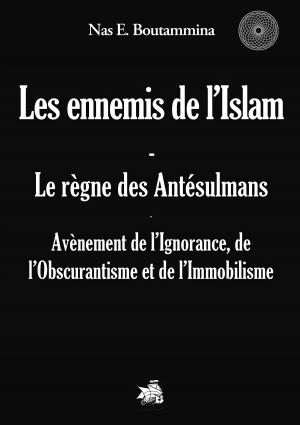 Book cover of Les ennemis de l'Islam - Le règne des Antésulmans