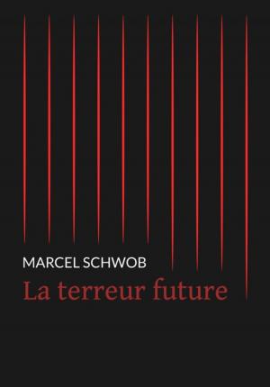 Cover of the book La terreur future by Jean Moréas