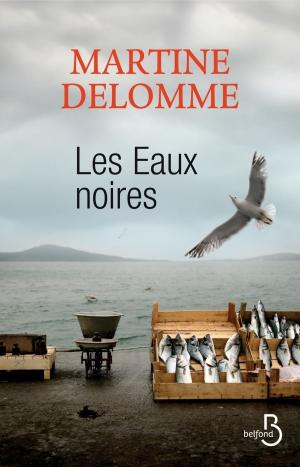 Cover of the book Les eaux noires by François KERSAUDY