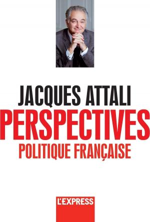 Book cover of Jacques Attali - Perspectives politiques