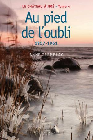 Cover of the book Le château à Noé, tome 4: Au pied de l'oubli by Danielle Goyette