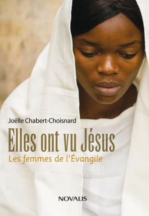 Cover of the book Elles ont vu Jésus by David Fines, Normand Lévesque