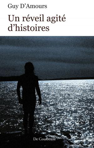 Cover of the book Un réveil agité d'histoires by Renee Carter Hall