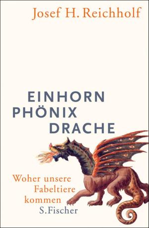 Cover of the book Einhorn, Phönix, Drache by Kathrin Röggla