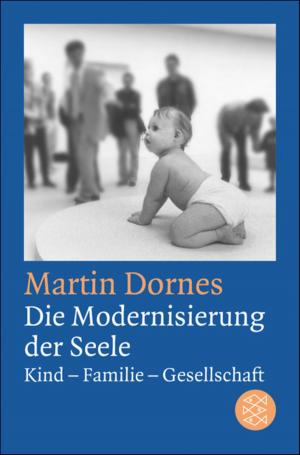 Book cover of Die Modernisierung der Seele
