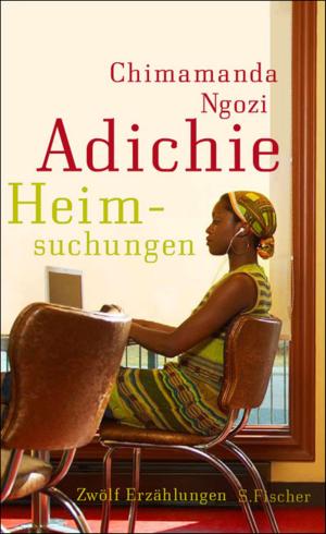 Book cover of Heimsuchungen