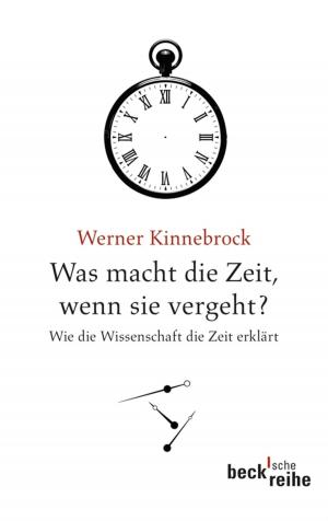 Cover of the book Was macht die Zeit, wenn sie vergeht? by Andreas Fahrmeir
