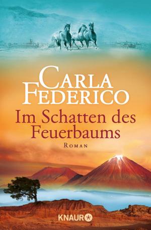 Book cover of Im Schatten des Feuerbaums