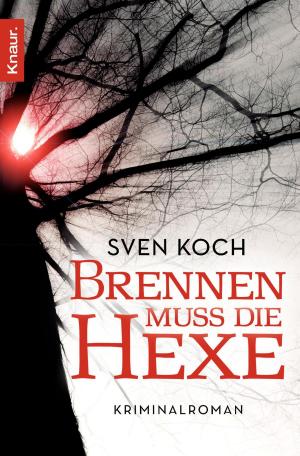 Cover of the book Brennen muss die Hexe by Elena Senft