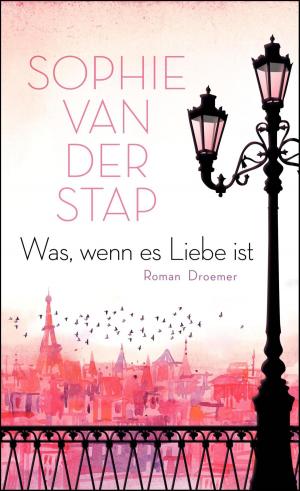 Cover of the book Was, wenn es Liebe ist by Werner Dopfer