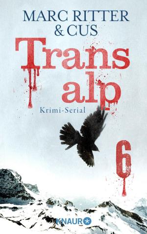 Book cover of Transalp 6