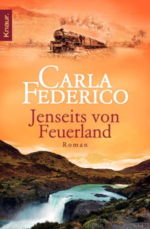 Book cover of Jenseits von Feuerland