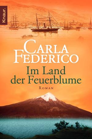 Cover of the book Im Land der Feuerblume by Ralf Wolfstädter