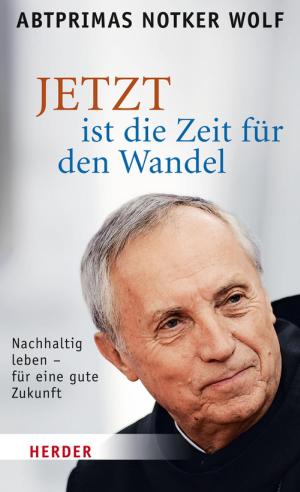 Cover of the book JETZT ist die Zeit für den Wandel by Christian Olding