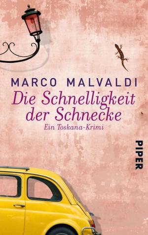 Cover of the book Die Schnelligkeit der Schnecke by Christian Dickinger