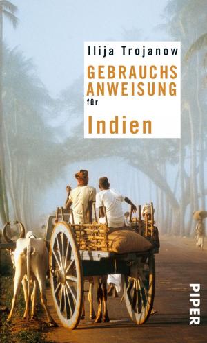 Cover of the book Gebrauchsanweisung für Indien by Christian Feyerabend