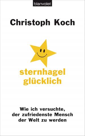 Cover of the book Sternhagelglücklich by Agnès Martin-Lugand