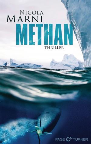Cover of the book METHAN by Frauke Scheunemann