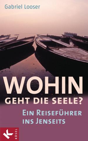 Book cover of Wohin geht die Seele?
