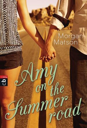 Book cover of Amy on the Summer Road