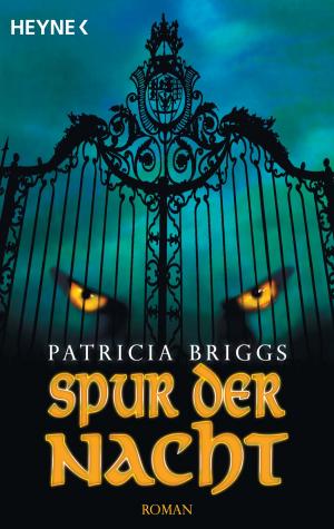 Cover of the book Spur der Nacht by Stephen King