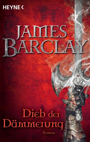 Cover of the book Dieb der Dämmerung by Michael Frey Dodillet