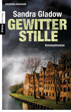 Book cover of Gewitterstille