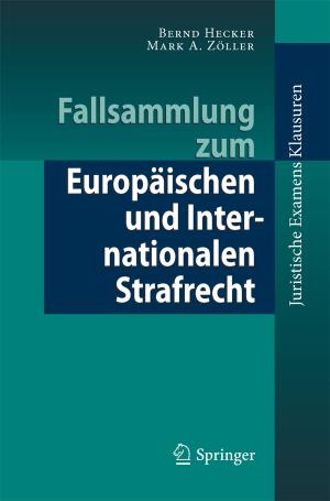 Cover of the book Fallsammlung zum Europäischen und Internationalen Strafrecht by Dan Wu