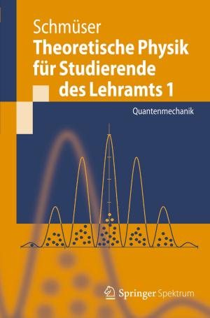 Cover of the book Theoretische Physik für Studierende des Lehramts 1 by Peter Kersten