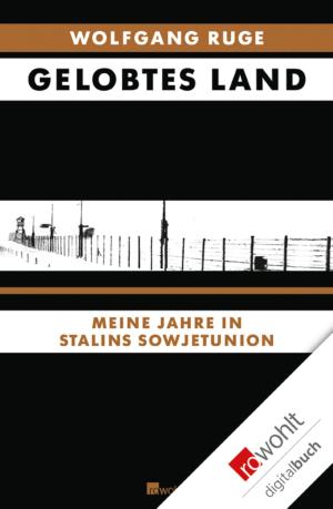 Cover of the book Gelobtes Land by Martin Schulz