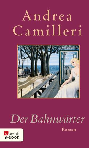 Cover of the book Der Bahnwärter by Denis Johnson