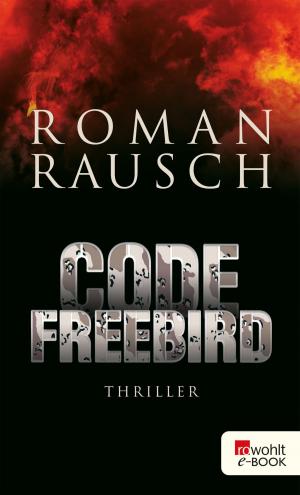 Book cover of Code Freebird