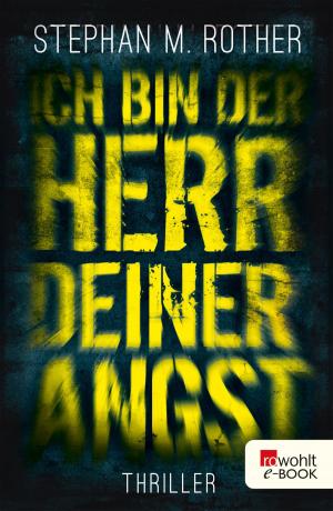 Cover of the book Ich bin der Herr deiner Angst by Wolfgang Herrndorf