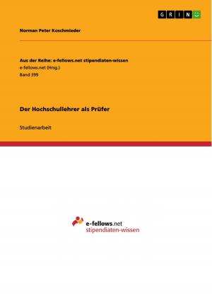 Cover of the book Der Hochschullehrer als Prüfer by Stefanie Däne