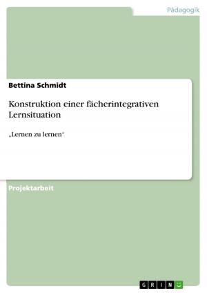Cover of the book Konstruktion einer fächerintegrativen Lernsituation by Christine Beier