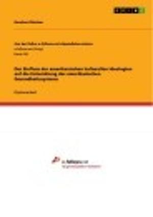 Cover of the book Der Einfluss der amerikanischen kulturellen Ideologien auf die Entwicklung des amerikanischen Gesundheitssystems by Markus Skuballa