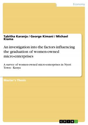 Cover of the book An investigation into the factors influencing the graduation of women-owned micro-enterprises by Antje Schöne