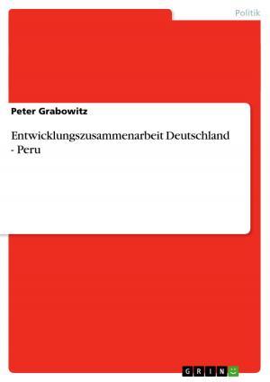Cover of the book Entwicklungszusammenarbeit Deutschland - Peru by Benjamin Spörer