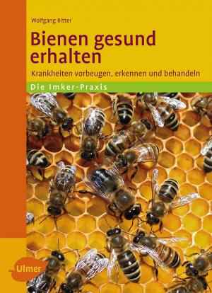 Cover of the book Bienen gesund erhalten by Mirjam Beile