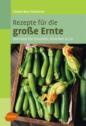 Cover of the book Rezepte für die große Ernte by Simone Schalk