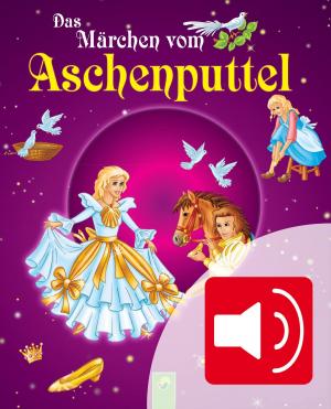 Cover of the book Aschenputtel by Anke Breitenborn