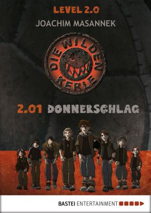 Cover of the book Die wilden Kerle Level 2.0 by Eva Völler