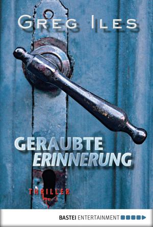 Cover of the book Geraubte Erinnerung by Nina Gregor