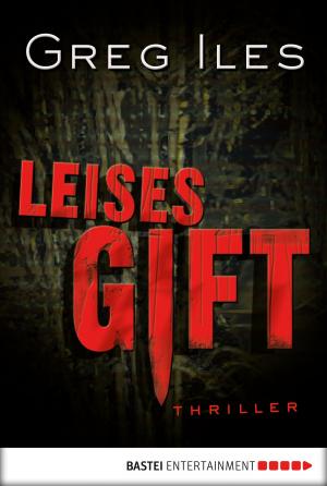Cover of the book Leises Gift by Stefan Frank