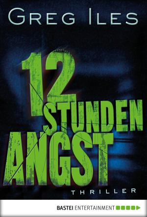 Cover of the book 12 Stunden Angst by Duane Swierczynski, Keith R. A. DeCandido, Peter J. Wacks, Kevin J. Anderson