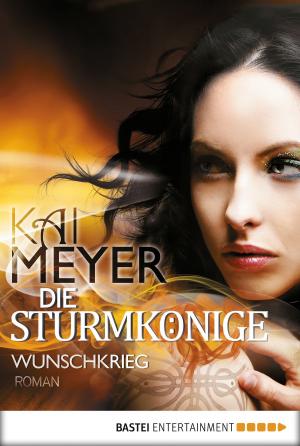 Cover of the book Die Sturmkönige - 3 by Pat Connor