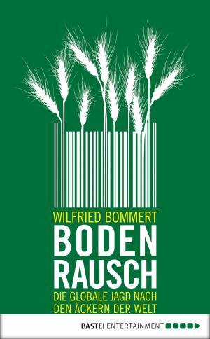 Cover of the book Bodenrausch by Verena Kufsteiner, Sibylle Simon, Andreas Kufsteiner, Mara Merlin