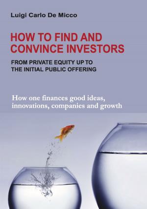 Cover of the book How to Find and Convince Investors by Valter Miegas