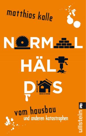 Cover of the book Normal hält das by Friedemann Weise