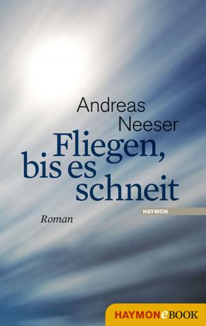 Cover of the book Fliegen, bis es schneit by Edith Kneifl